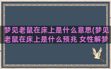 梦见老鼠在床上是什么意思(梦见老鼠在床上是什么预兆 女性解梦)